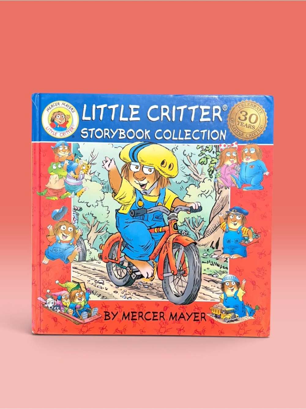 3 for $15 - Little Critter Storybook Collection